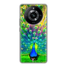 Чехол с птицами на Realme 11 Pro (VPrint) (Яркий Павлин)