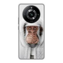 Чохли з Мавпами NFT для Realme 11 (AlphaPrint) (мавпа NFT в тату)