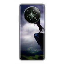 Чохли з зображенням різних тварин на RealMe 12 5G (Кінь)