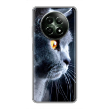 Чохли з Котиками для RealMe 12 5G (VPrint) (Сірий Кіт)