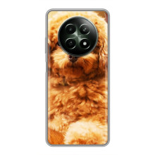 Чехлы с собаками для RealMe 12 5G (VPrint) – Щенок Бишон