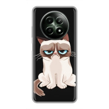 Чохол з принтом для RealMe 12 5G (AlphaPrint) Модні коти (Сумний кіт)