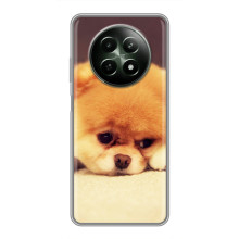 Чохол (ТПУ) Милі песики для RealMe 12 5G (Померанский шпіц)