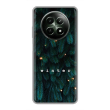 Новогодние, Праздничные Чехлы для RealMe 12 5G - 2024 год (Winter)