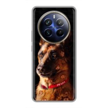 Чехлы с картинками животных Realme 12 Plus – Овчарка