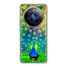 Чохол з пташками на Realme 12 Plus (VPrint) (Яскравий Павлин)