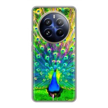 Чехол с птицами на Realme 12 Pro Plus (VPrint) (Яркий Павлин)