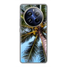 Силиконовый чехол с КАРТИНКАМИ лето для Realme 12 Pro Plus (AlphaPrint) (Пальма)