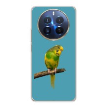 Силиконовый чехол с птичкой на Realme 12 Pro Plus (Попугайчик)