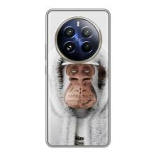 Чехлы с Обезьянами NFT для Realme 12 Pro (AlphaPrint) (обезьяна NFT в тату)