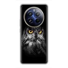 Чехлы с принтом СОВЫ для Realme 12 Pro – Сова на чёрном