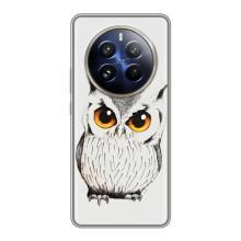 Чехол с птицами на Realme 12 Pro (VPrint) (Милая Сова)