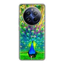 Чехол с птицами на Realme 12 Pro (VPrint) (Яркий Павлин)