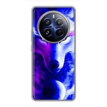 Чехол с Волком на Realme 12 Pro – Арт-Волк
