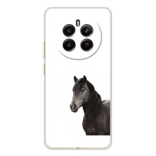 Чехлы с Лошадью дляRealMe 12 (VPrint) (Чорний кінь)