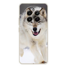 Чохол з Вовком на RealMe 12 (Вовк біжить по снігу)