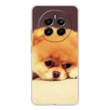 Чохол (ТПУ) Милі песики для RealMe 12 (Померанский шпіц)