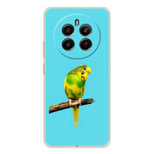Силіконовий бампер з птичкою на RealMe 12 (Попугайчик)