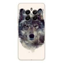Чехол с Волком на Realme 13 4G – Волк
