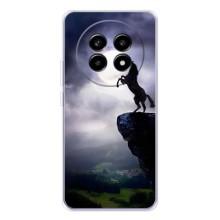 Чехлы с изображением разных животных для Realme 13 Pro Plus (Лошадь)