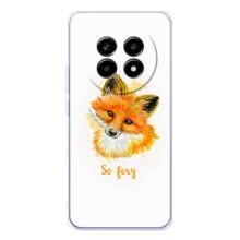Чехлы с картинкой Лисички для Realme 13 Pro Plus (VPrint)