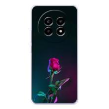 Чехлы с принтом Розочки для Realme 13 Pro Plus – Ночная роза