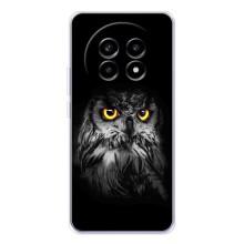 Чохли з принтом СОВИ для Realme 13 Pro Plus – Сова на чорному