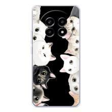 Чехол на Реалми 13 Про Плюс с Котами (VPrint) (Взгляд котов)