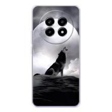 Чехол с Волком на Realme 13 Pro Plus – Волк и луна