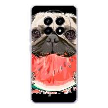 Чехол (ТПУ) Милые собачки для Realme 13 Pro Plus – Смешной Мопс