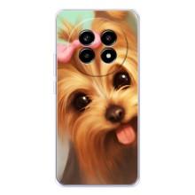 Чехол (ТПУ) Милые собачки для Realme 13 Pro Plus – Йоршенский терьер