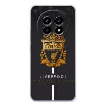 Силіконові Чохли з принтом Футбол на Realme 13 Pro Plus – Liverpool