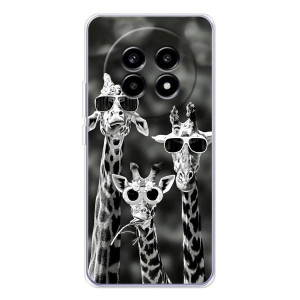 Силиконовый чехол с КАРТИНКАМИ лето для Realme 13 Pro Plus (AlphaPrint)