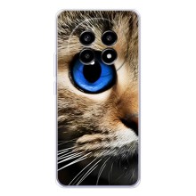 Чехлы с Котиками для Realme 13 Pro (VPrint) (Глаз кота)