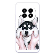 Чехлы с собаками для Realme 13 Pro (VPrint) (Довольный Хаски)