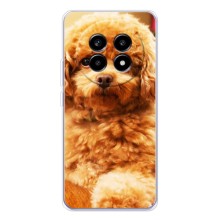 Чехлы с собаками для Realme 13 Pro (VPrint) (Щенок Бишон)