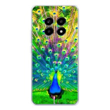 Чехол с птицами на Realme 13 Pro (VPrint) (Яркий Павлин)