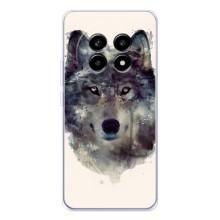 Чехол с Волком на Realme 13 Pro – Волк
