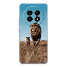 Чехол Король лев на Реалми 13 Про – Мусафа и Симба