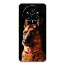 Чехлы с картинками животных Realme 14 Pro Plus (Овчарка)