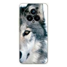 Чехлы с картинками животных Realme 14 Pro Plus (Волк)