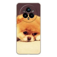 Чехол (ТПУ) Милые собачки для Realme 14 Pro Plus (Померанский шпиц)