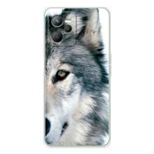 Чохли з картинкою животних Realme 14 (Вовк)