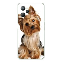 Чохол (ТПУ) Милі песики для Realme 14 (Пес Терьєр)
