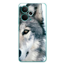 Чехлы с картинками животных Realme 14T (Волк)