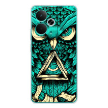 Чохол з пташками на Realme 14T (VPrint) (Сова з оком)