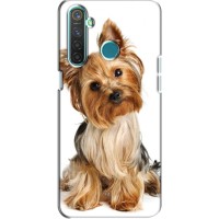 Чехол (ТПУ) Милые собачки для Realme 5 Pro – Собака Терьер