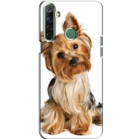 Чехол (ТПУ) Милые собачки для Realme 6i – Собака Терьер