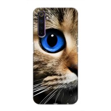 Чехлы с Котиками для Realme 6 Pro (VPrint) (Глаз кота)