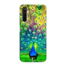 Чохол з пташками на Realme 6 Pro (VPrint)
